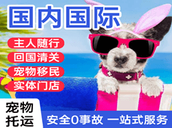 新桥机场货运国际宠物托运 【国
